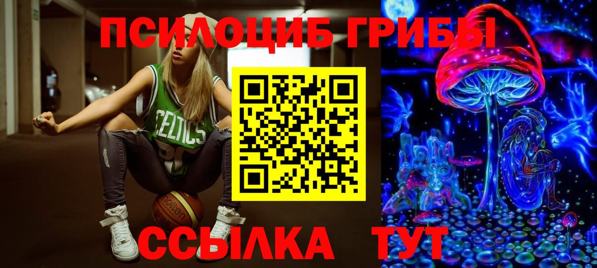 Искитим  Галлюциногенные грибы MAGIC MUSHROOMS  как найти наркотики  Вход с VPN  Псилоцибиновые грибы GOLDEN TEACHER 